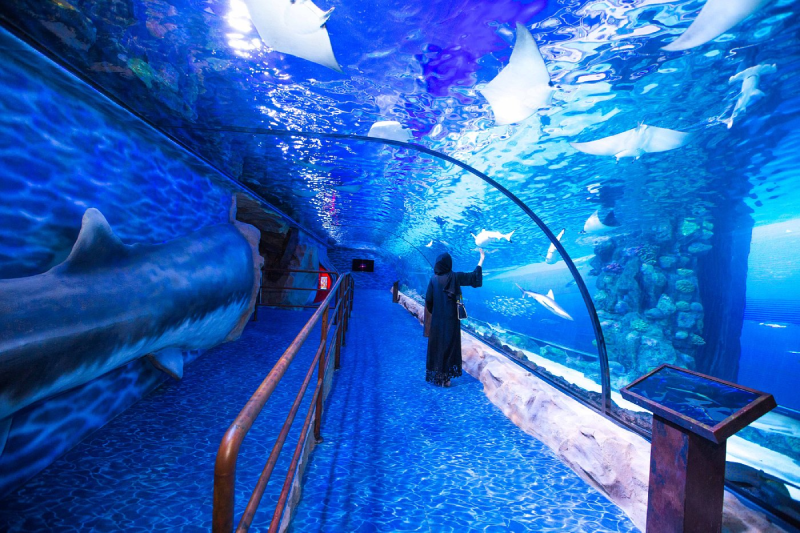 Dubai mall aquarium