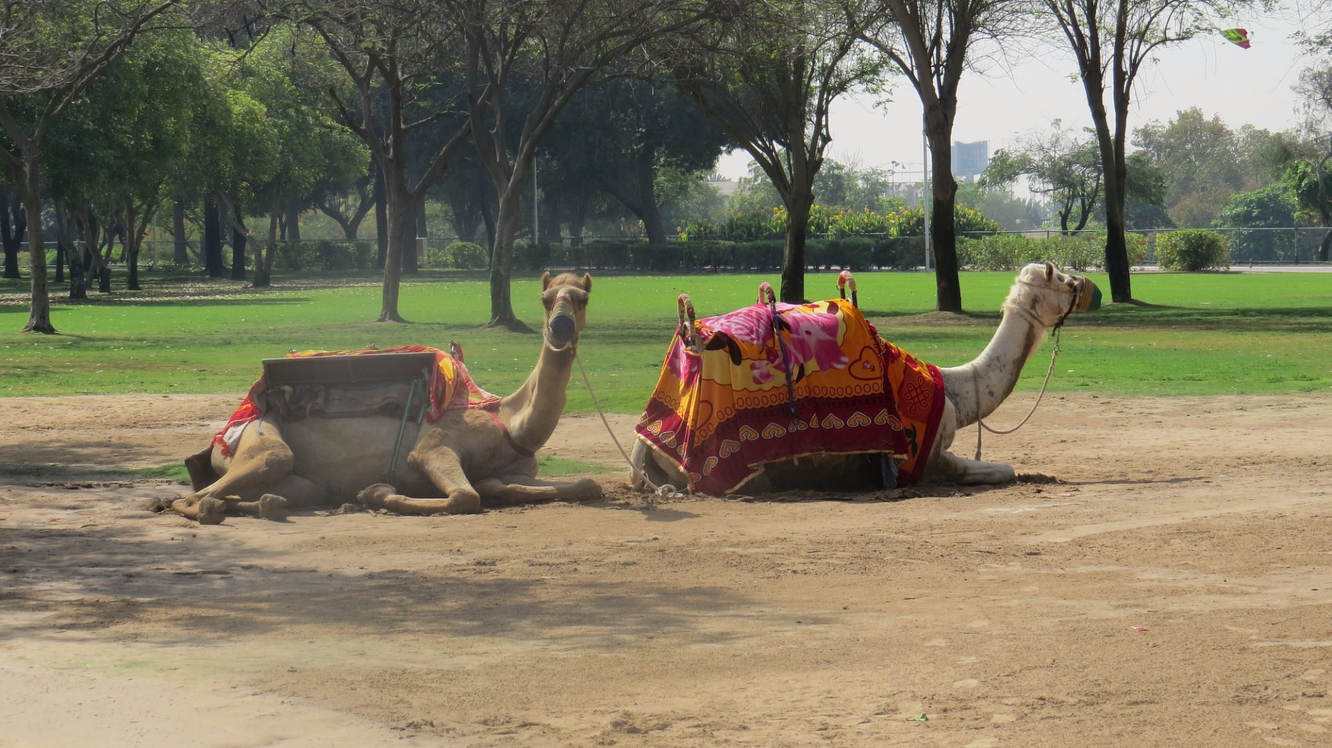 Dubai Creek Park